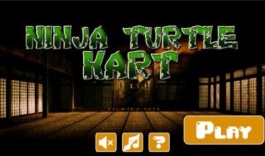 turtle kart截图1