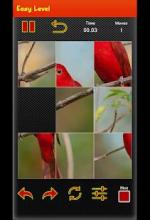 Picture Puzzle Game - Best Bird picture截图1