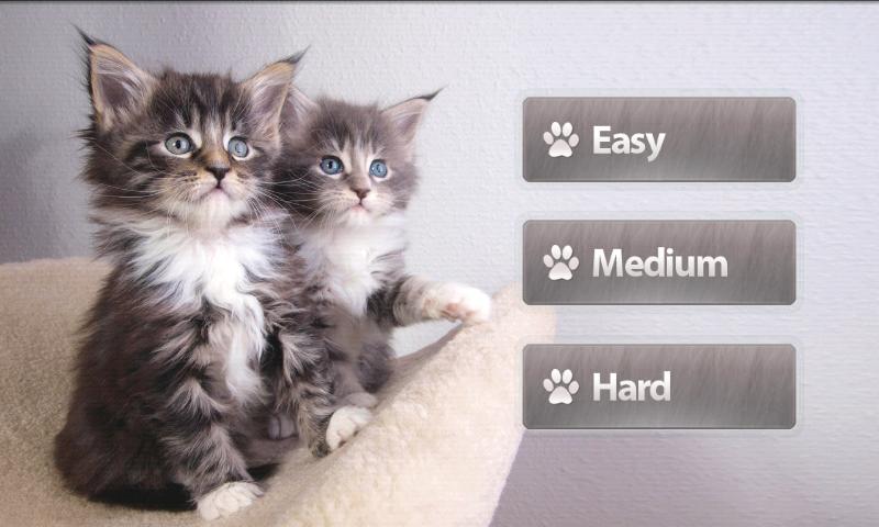 Cats Memory Game Free截图2