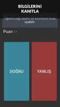 Doğru - Yanlış截图2