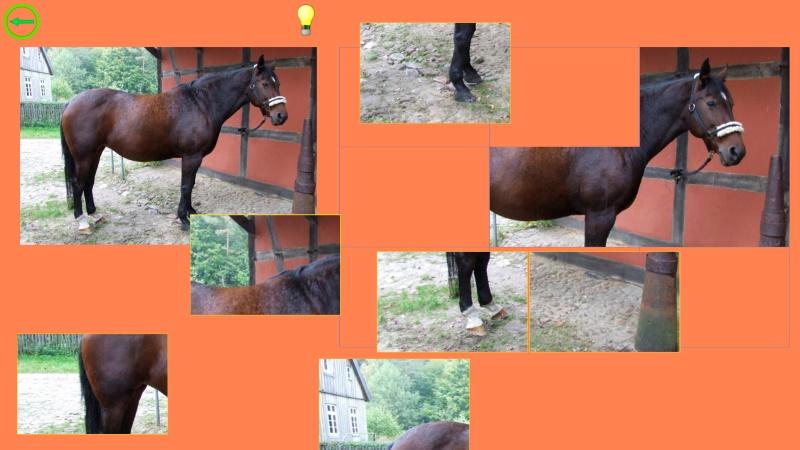 Horse Puzzle For Kids截图2