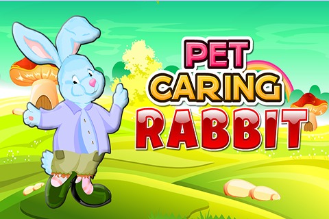 Pet Caring Rabbit截图1