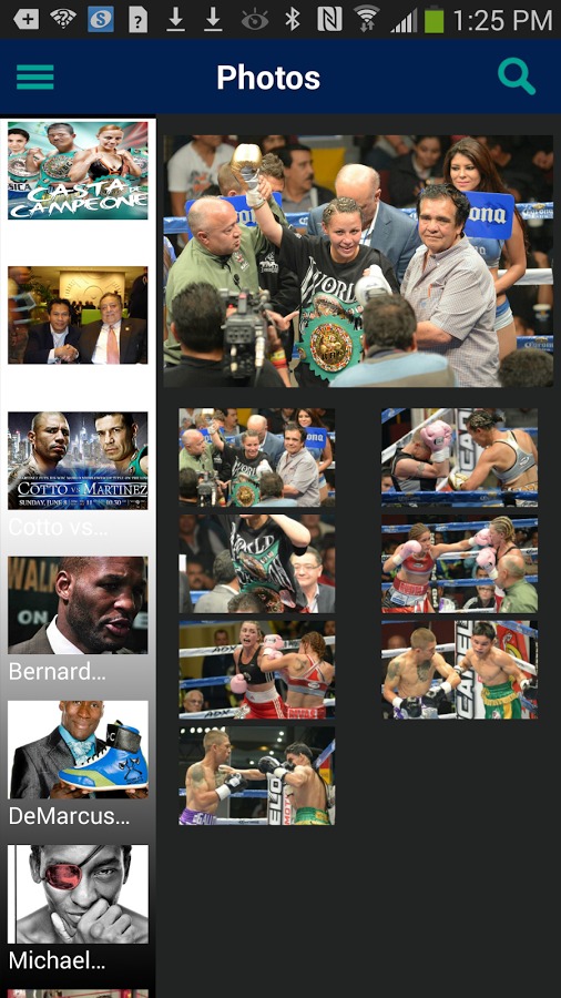 WBC Boxing截图5