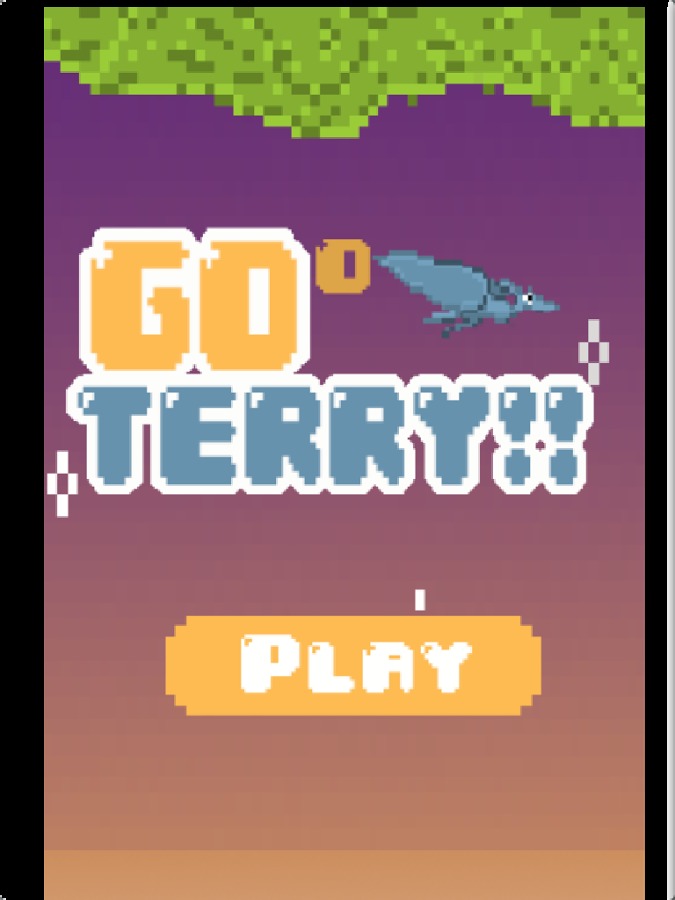 Go Terry截图4