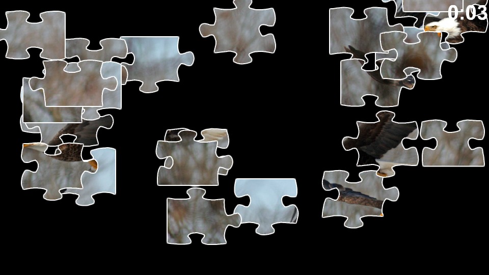 Bird Jigsaw Puzzles截图2