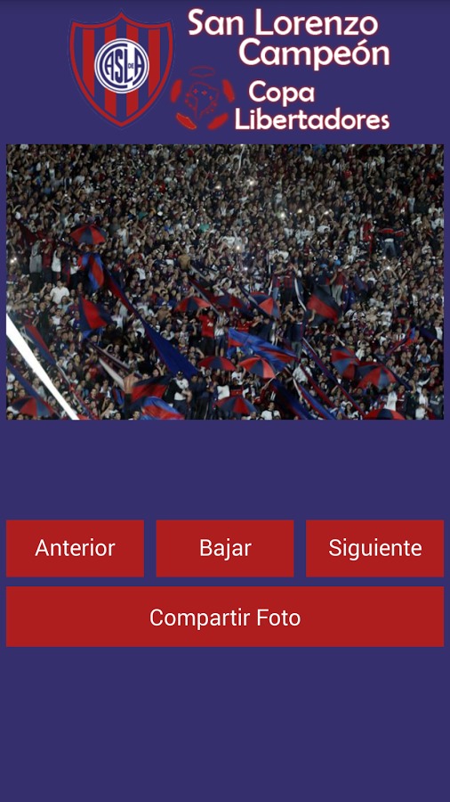 San Lorenzo Campeón 2014截图4