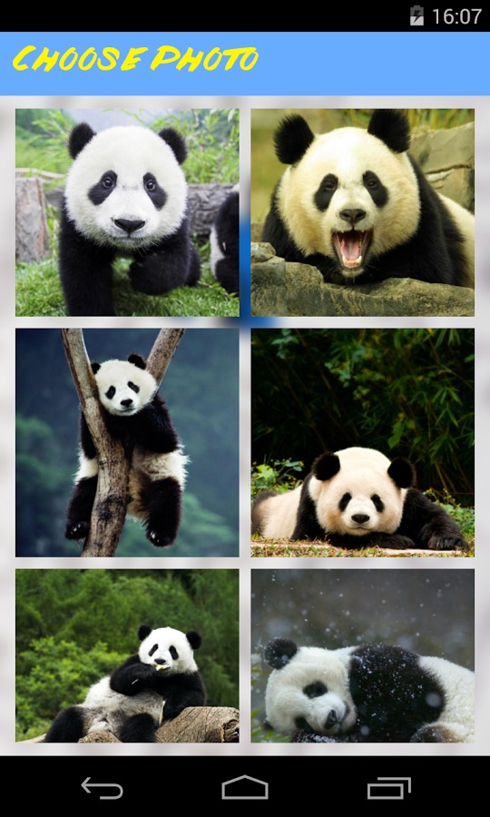 Panda Jigsaw Puzzle截图2