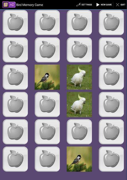 Bird Memory Game截图2