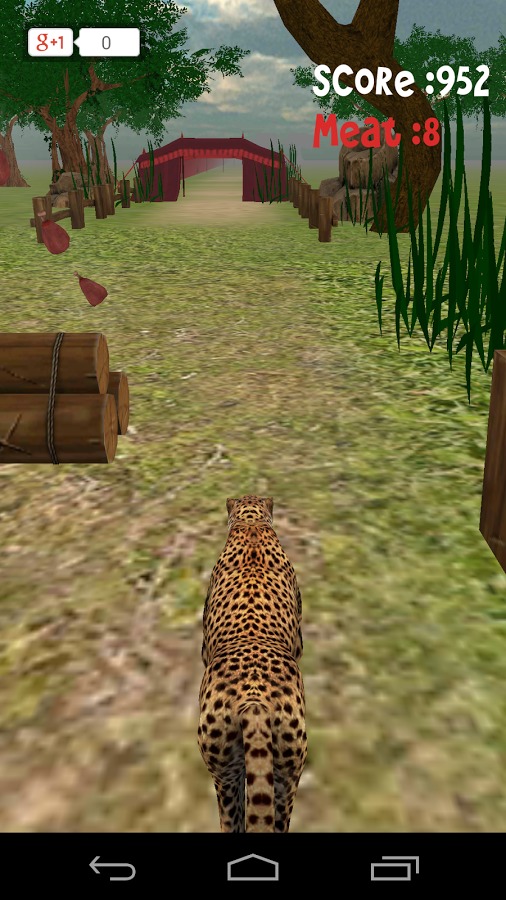 Animal Run :Cheetah 3D截图4