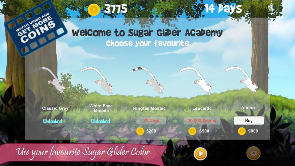 Sugar Glider Academy The Game截图4