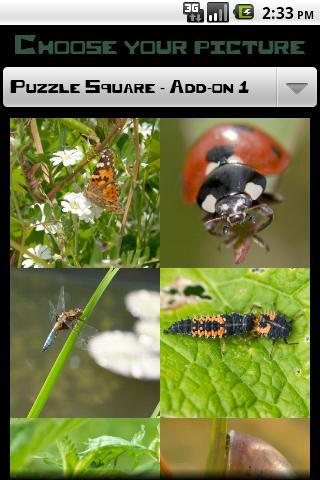 PuzzleSquare - Pack 1截图1