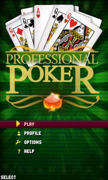 Proffesional Poker Lite截图