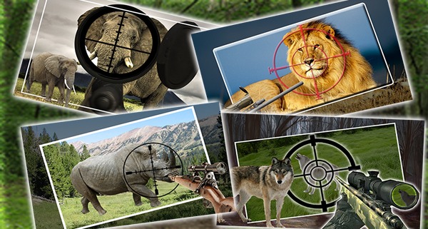 Safari Animal Hunting截图1
