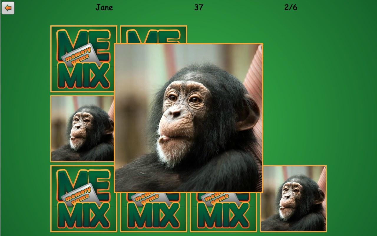 Memix Free - memory game截图2