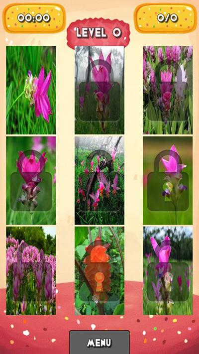 Siam Tulip Jigsaw Puzzles截图2