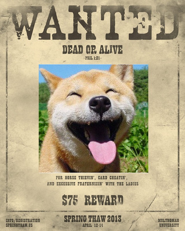 Wanted Poster截图2