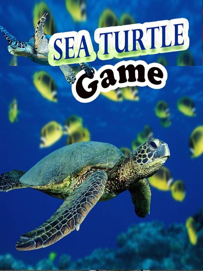 Sea Turtle Game截图2