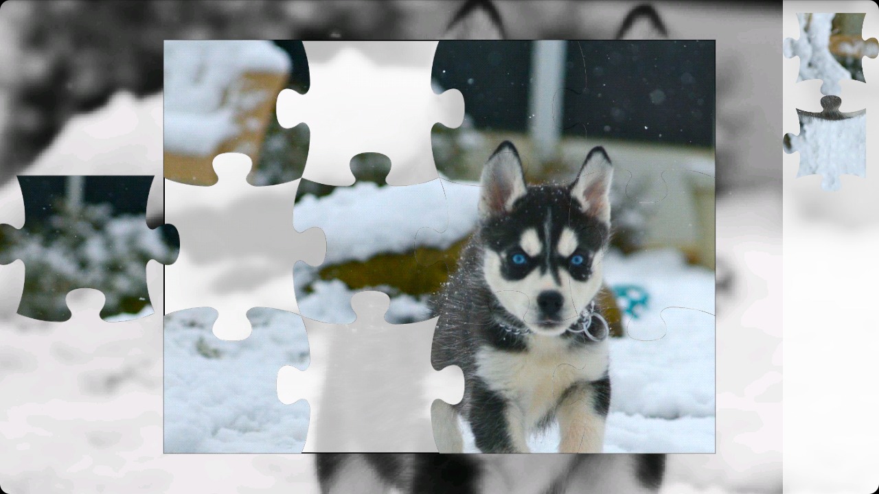 Husky Puzzle截图3