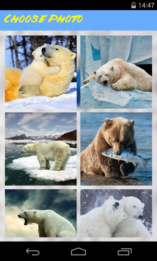 Bear Jigsaw Puzzle截图3