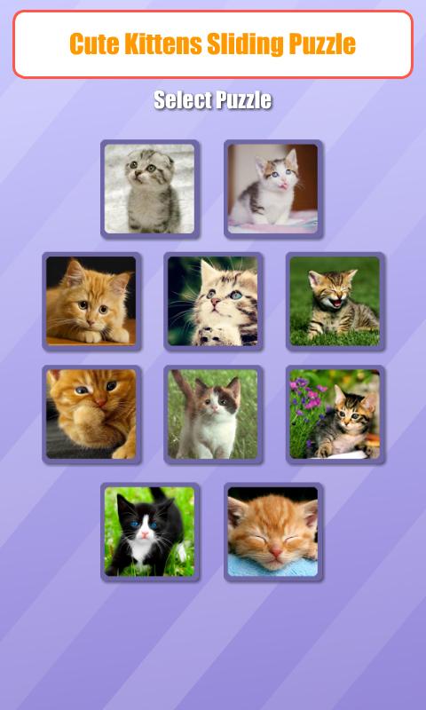 Cute Kitten Sliding Puzzle截图1