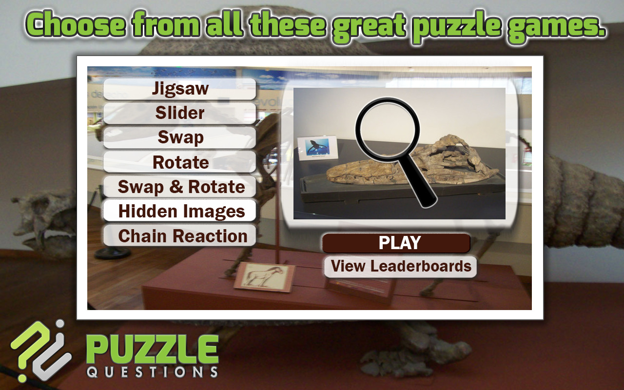 Free Fossil Puzzle Games截图1