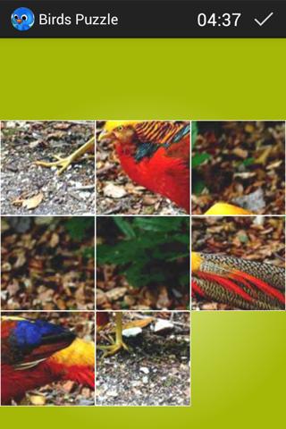 Birds Puzzle截图4