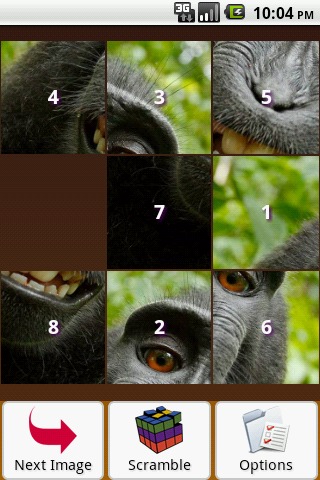 Monkey Puzzle截图2