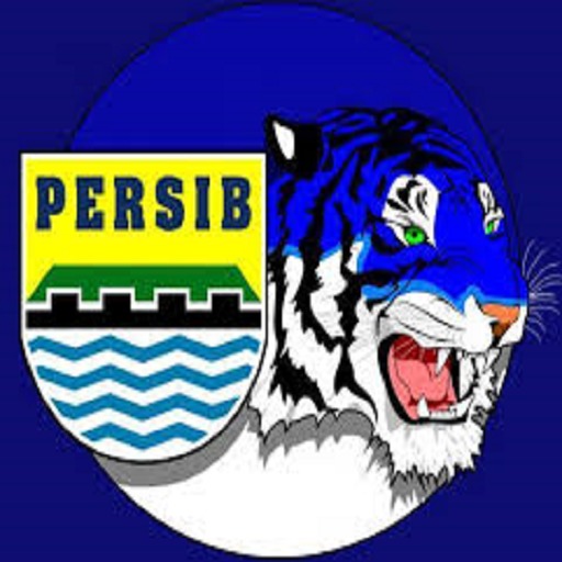 Informasi Persib Bandung截图2