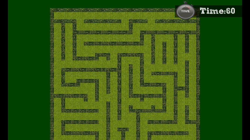 Maze Escape截图2