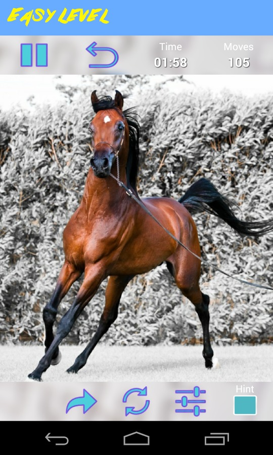 Horses Jigsaw Puzzle截图5