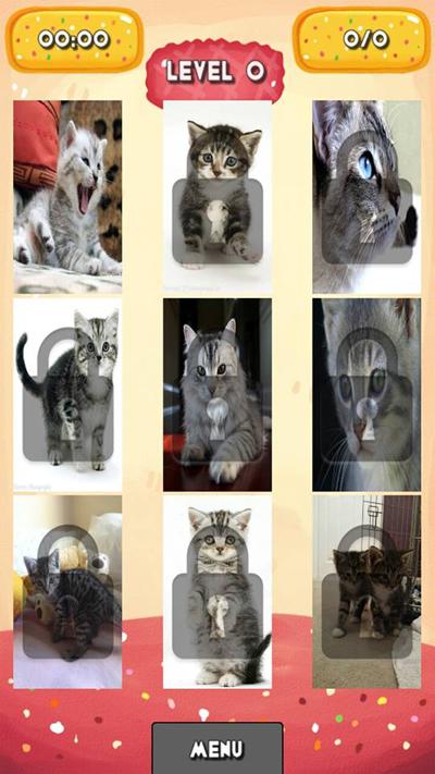 Silvery Kitten Jigsaw Puzzle截图2