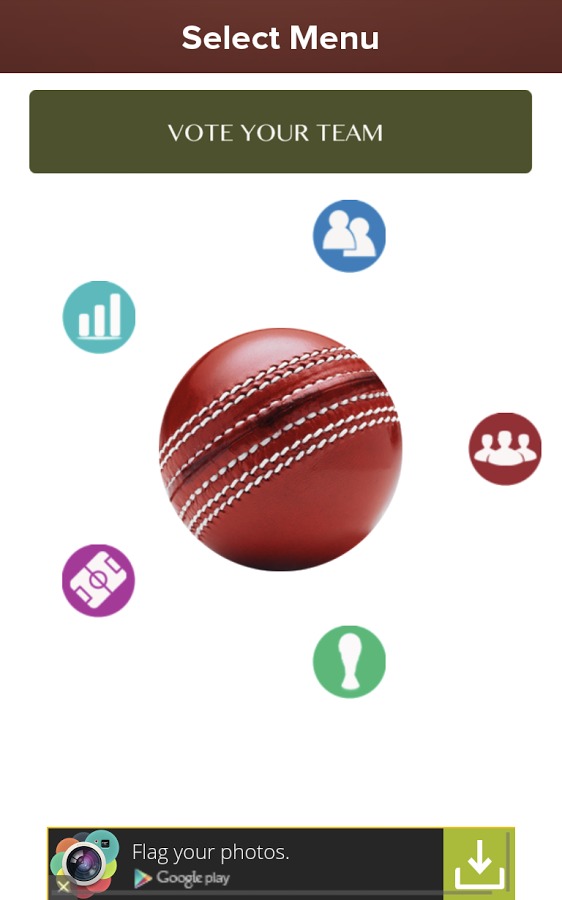 Cricket Worldcup 2015截图2