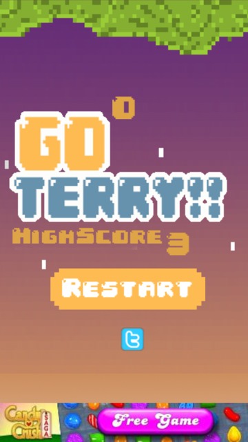 Go Terry截图3