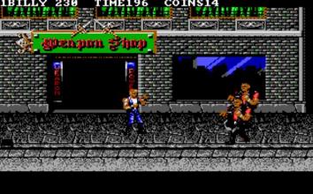 Double Dragon 3截图4