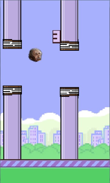 Flappy Einstein截图4