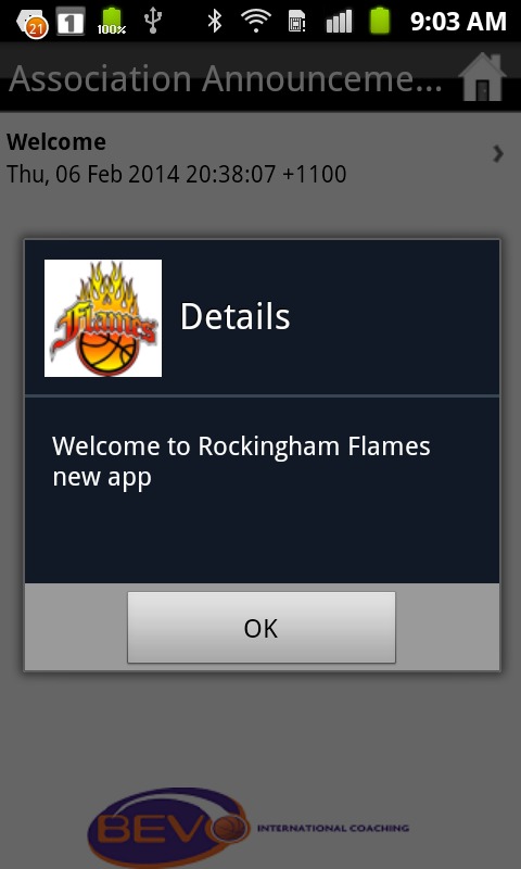 Rockingham Flames截图2