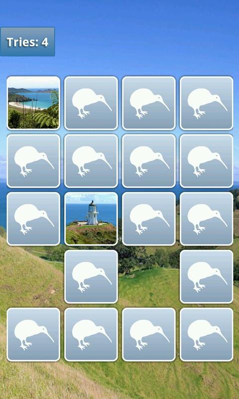 New Zealand Memory Game截图2