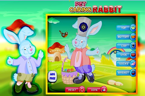 Pet Caring Rabbit截图5