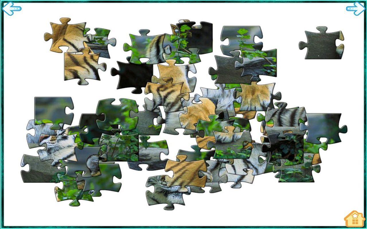 Wild Animal Jigsaw Puzzle截图2