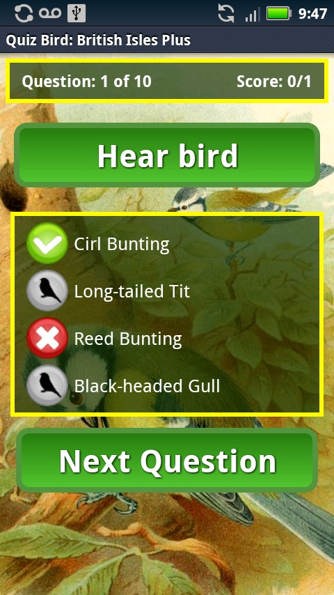 Quiz Bird: British Isles截图3