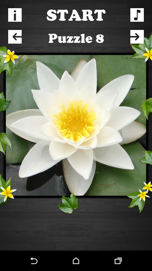 Exciting Puzzle - Flowers截图1