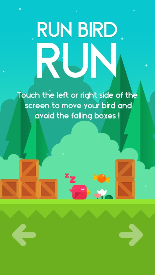 Run Bird Run截图2