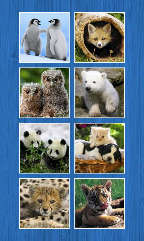 Slide Puzzle -Animals截图4