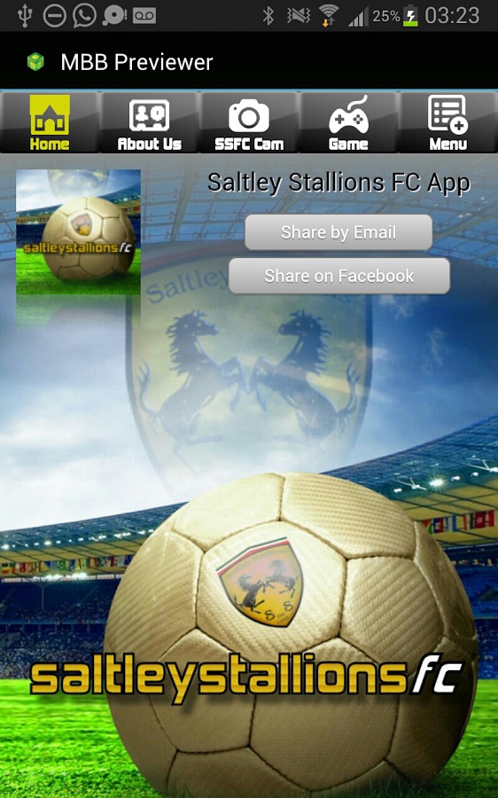 Saltley Stallions FC截图1