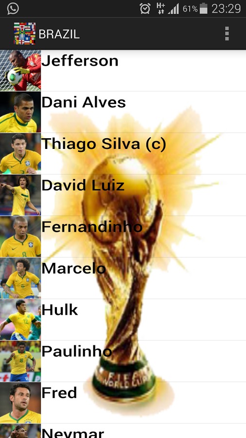 Soccer World Cup Teams 2014截图3