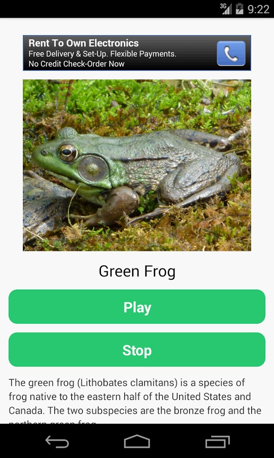 Frog Calls截图2