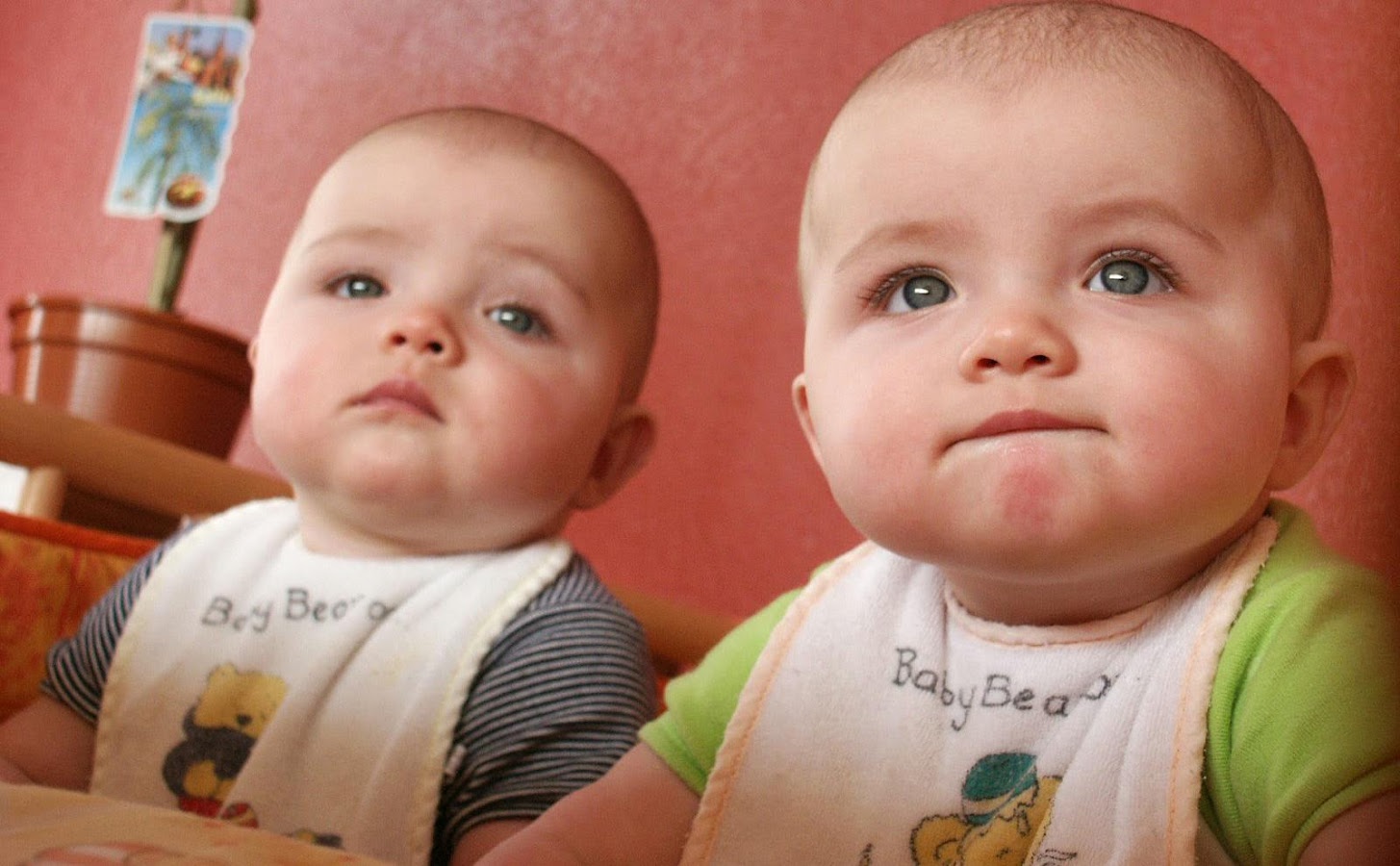 Twins Babies Puzzle截图1