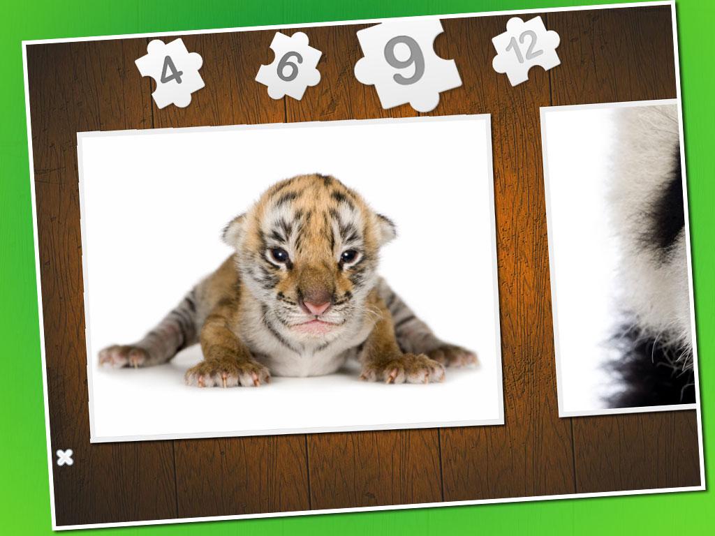 Baby animal puzzle截图5