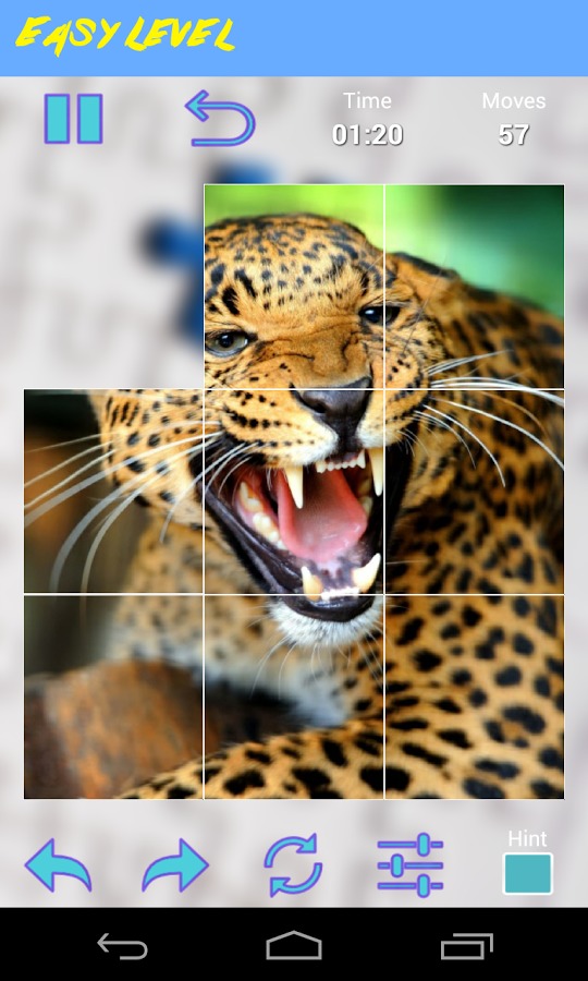 Leopard Jigsaw Puzzle截图5