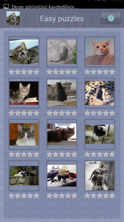 Cat Puzzle for Kids截图3